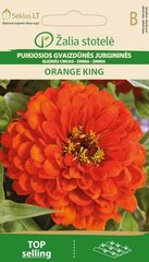 Pruudisõlg Orange King hind ja info | Lilleseemned | kaup24.ee