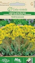 Очиток скальный TRIPMADAM цена и информация | Семена цветов | kaup24.ee