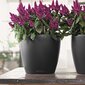LECHUZA taimekast "Classico Color 35 ALL-IN-ONE" kilt hind ja info | Dekoratiivsed lillepotid | kaup24.ee