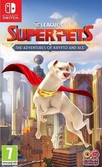 Mäng DC League of Super Pets: The Adventures of Krypto and Ace Switch hind ja info | Arvutimängud, konsoolimängud | kaup24.ee