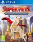 Mäng DC League of Super Pets: The Adventures of Krypto and Ace Playstation 4 PS4 hind ja info | Arvutimängud, konsoolimängud | kaup24.ee