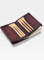Kaardikohver meestele Visconti MT88, pruun hind ja info | Meeste rahakotid | kaup24.ee