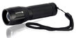 LED flashlight everActive FL-300+ цена и информация | Taskulambid, prožektorid | kaup24.ee