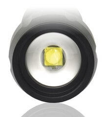 LED flashlight everActive FL-300+ hind ja info | Taskulambid, prožektorid | kaup24.ee