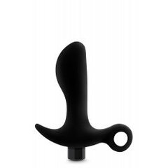 ANAL ADVENTURES PROSTATE MASSAGER 01 цена и информация | Анальные игрушки | kaup24.ee