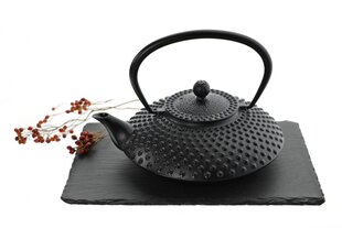 Чугунный заварочный чайник с ситечком, 1,25 л цена и информация | Чайники, кофейники | kaup24.ee