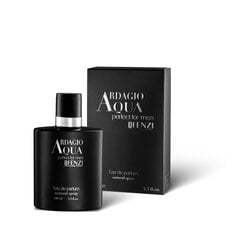 Lõhnavesi meestele JFenzi Ardagio Aqua EDP, 100 ml hind ja info | Meeste parfüümid | kaup24.ee