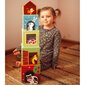 Puidust kuubikud koos figuuridega - Woopie Green hind ja info | Imikute mänguasjad | kaup24.ee