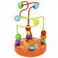 Värviline labürint, 1 tk hind ja info | Arendavad mänguasjad | kaup24.ee