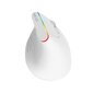 Wireless Vertical Mouse Delux M618C 2.4G 1600DPI RGB (white) hind ja info | Hiired | kaup24.ee