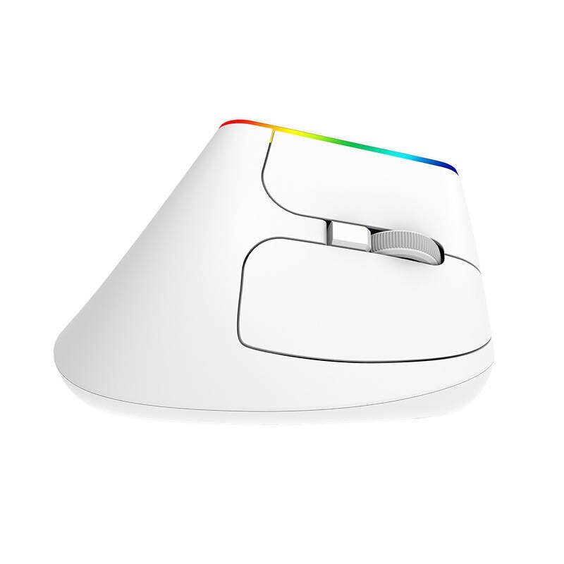 Wireless Vertical Mouse Delux M618C 2.4G 1600DPI RGB (white) hind ja info | Hiired | kaup24.ee