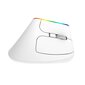 Wireless Vertical Mouse Delux M618C 2.4G 1600DPI RGB (white) hind ja info | Hiired | kaup24.ee