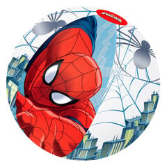 Bestway Täispuhutav rannapall Spider Man, 51 cm цена и информация | Надувные и пляжные товары | kaup24.ee