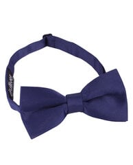 Голубой галстук-бабочка, 0-2 года для мальчиков, Gulliver цена и информация | Аксессуары для детей | kaup24.ee