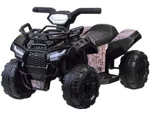 Laste ATV "QUAD mini", must цена и информация | Электромобили для детей | kaup24.ee