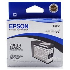 Tindikassett printerile Epson, Stylus PRO 3800, 80ml hind ja info | Tindiprinteri kassetid | kaup24.ee