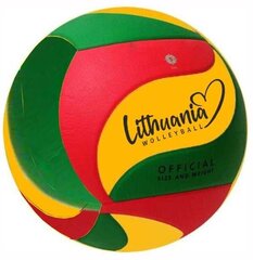 Võrkpall Tomaz Sport AM-LLW05 hind ja info | Võrkpalli pallid | kaup24.ee