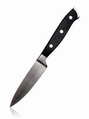 Нож Alivio 20,5 см цена и информация | Ножи и аксессуары для них | kaup24.ee