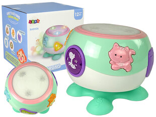 Интерактивный барабан для детей, зеленый цена и информация | Развивающие игрушки | kaup24.ee