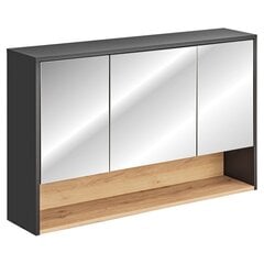 Подвесной шкаф для ванной комнаты Homede Galio, 120 см, серый цвет цена и информация | Шкафчики для ванной | kaup24.ee
