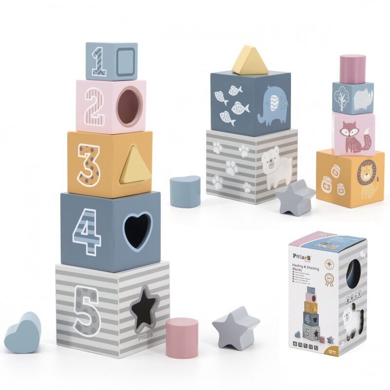 Värviline hariduslik püramiid Viga PolarB hind ja info | Arendavad mänguasjad | kaup24.ee
