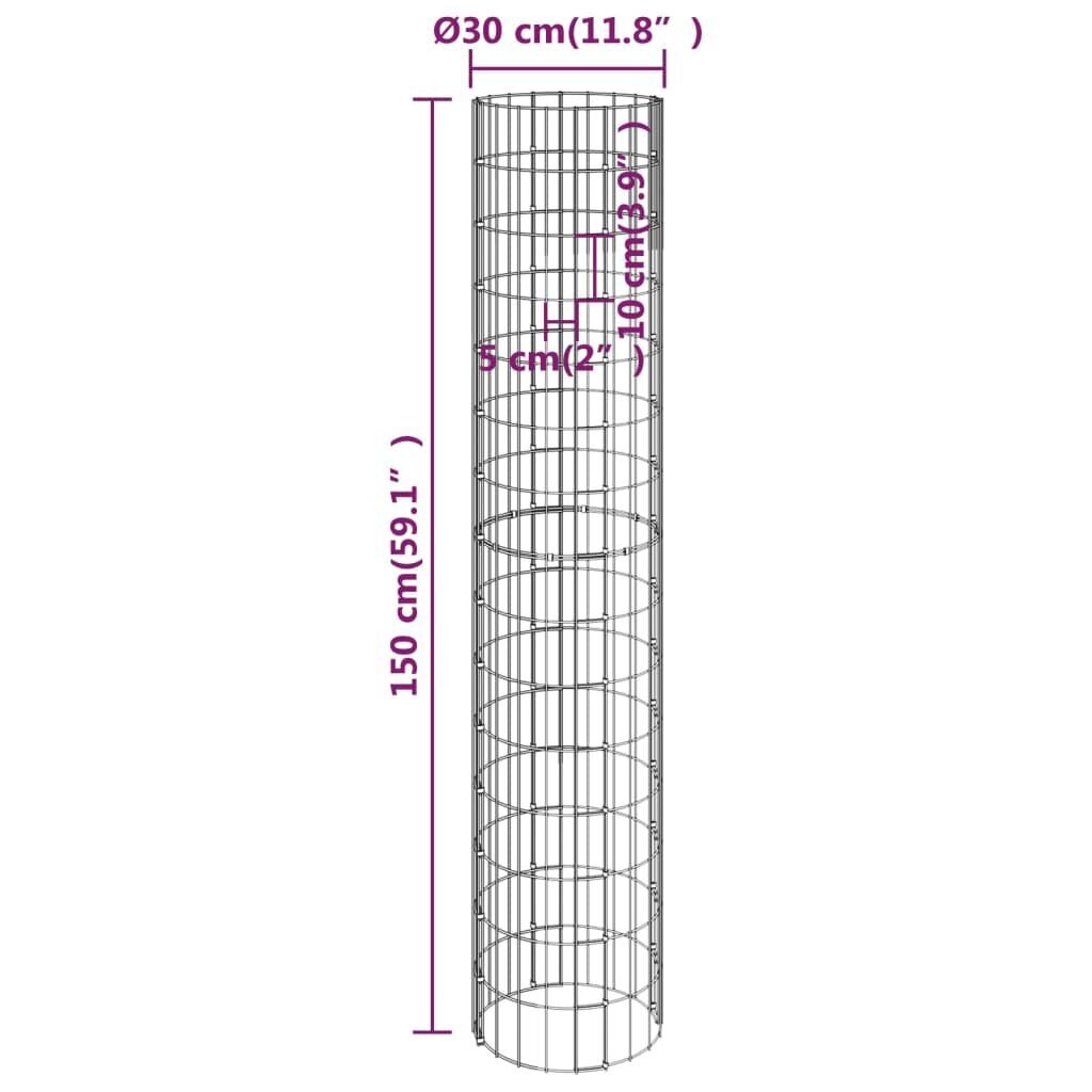 vidaXL ringikujuline gabioon taimelava, tsingitud teras, Ø30 x 150 cm hind ja info | Istutus- ja turbapotid | kaup24.ee