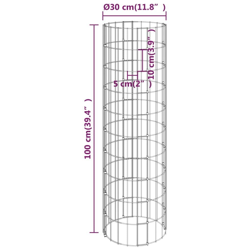 vidaXL ringikujuline gabioon taimelava, tsingitud teras, Ø30 x 100 cm цена и информация | Istutus- ja turbapotid | kaup24.ee