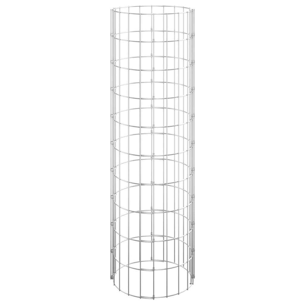 vidaXL ringikujuline gabioon taimelava, tsingitud teras, Ø30 x 100 cm hind ja info | Istutus- ja turbapotid | kaup24.ee