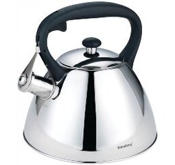 PROMIS TMC19 Kettle 3.0 l, AMADEO, silver, black handle цена и информация | Чайники, кофейники | kaup24.ee