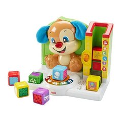 Fisher-Price FJC43 learning toy hind ja info | Imikute mänguasjad | kaup24.ee