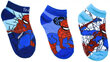 Marvel Sokid Spider Man Blue SP-A-SOCKS-126 цена и информация | Poiste sukkpüksid ja sokid | kaup24.ee