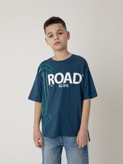 Poiste T-särk trükiga Gulliver, sinine цена и информация | Рубашки для мальчиков | kaup24.ee