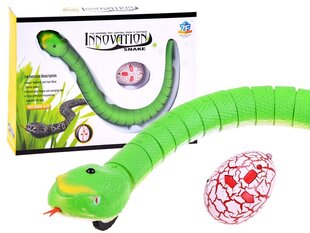 Змея с дистанционным управлением, зеленая цена и информация | Игрушки для мальчиков | kaup24.ee