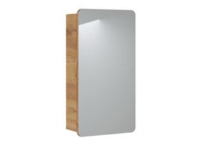 Зеркало-шкаф в ванную ARUBA, 40х75x16 см цена и информация | Шкафчики для ванной | kaup24.ee