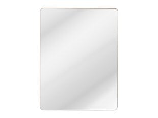 Vannitoa peegel 60x80 cm ARUBA цена и информация | Зеркала | kaup24.ee