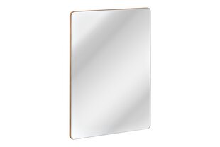 Vannitoa peegel 60x80 cm ARUBA hind ja info | Vannitoa peeglid | kaup24.ee