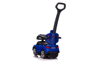 BMW SXZ2078 roller, sinine hind ja info | Imikute mänguasjad | kaup24.ee