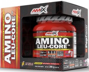 Amix Nutrition Amino Leu-CORE 8:1:1 390 g hind ja info | Vitamiinid, toidulisandid, preparaadid tervise heaoluks | kaup24.ee