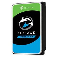 Seagate Surveillance HDD SkyHawk 3.5" 2000 GB Serial ATA hind ja info | Sisemised kõvakettad (HDD, SSD, Hybrid) | kaup24.ee
