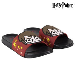 Шлепанцы для детей Harry Potter цена и информация | Детская обувь для плавания | kaup24.ee