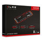 PNY XLR8 CM3031 M.2 500 GB PCI Express 3.0 3D NAND NVMe hind ja info | Sisemised kõvakettad (HDD, SSD, Hybrid) | kaup24.ee