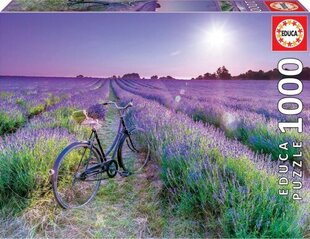 Educa - Puzzle 1000 Bike In A Lavendar Field hind ja info | Pusled | kaup24.ee