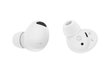 Samsung Galaxy Buds 2 Pro White SM-R510NZWAEUE hind ja info | Kõrvaklapid | kaup24.ee