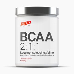 DION SPORTLAB aminohapped BCAA 2:1:1 - Troopiline 300g hind ja info | Aminohapped | kaup24.ee