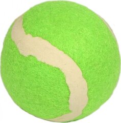 Мяч для уличного тенниса Enero, зеленый, 1 шт цена и информация | Товары для большого тенниса | kaup24.ee
