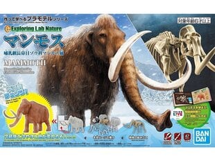 Конструктор Bandai - Exploring Lab Nature Mammoth 62179 цена и информация | Конструкторы и кубики | kaup24.ee