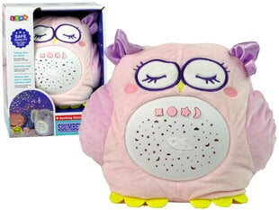 Projektor - Owl hind ja info | Imikute mänguasjad | kaup24.ee