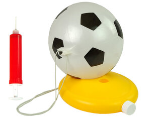 Футбольный мяч с аксессуарами цена и информация | Игры на открытом воздухе | kaup24.ee