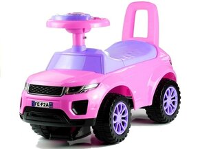 Pesumasin, roosa hind ja info | Imikute mänguasjad | kaup24.ee