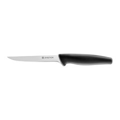 Нож Ambition Aspiro, 13 см цена и информация | Ножи и аксессуары для них | kaup24.ee